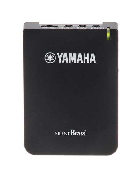 Yamaha SB3X 02