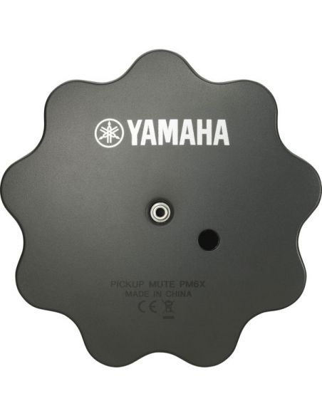 Yamaha PM6X FOR FLUGEL