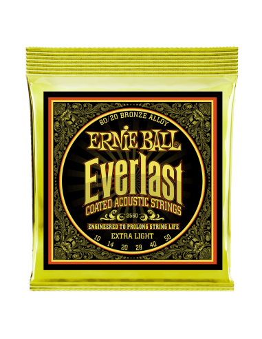 Ernie Ball P02560