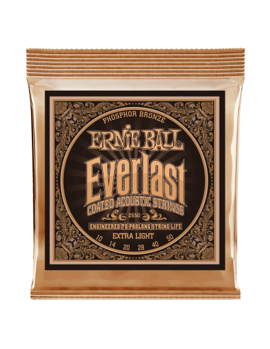 Ernie Ball P02550