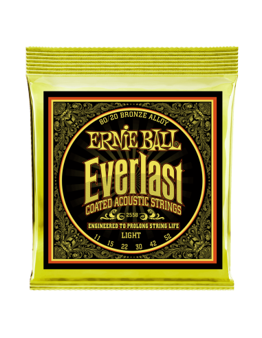 Ernie Ball P02558