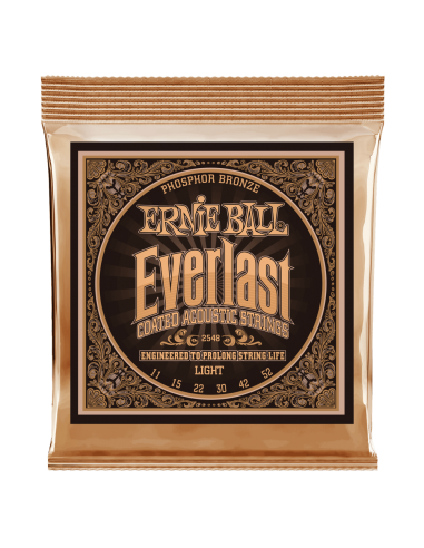 Ernie Ball P02548