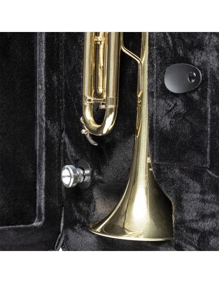 Soft case for trumpet Stagg SC-TP-BK