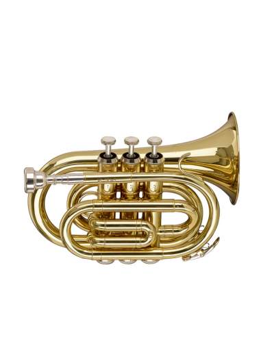 Bb pocket trumpet Stagg WS-TR245S