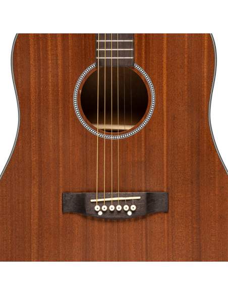 Acoustic dreadnought guitar, sapele, natural finish