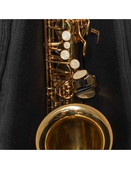 Bag for alto saxophone Stagg SB-AS-BKF