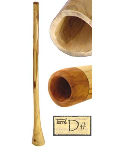 Didgeridoo Teak D-
