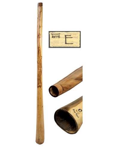 Didgeridoo Eucalyptus E