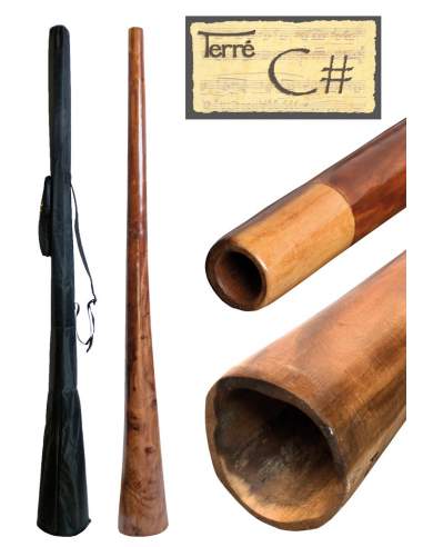 Didgeridoo sliced CIS