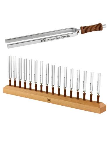 Tuning Forks Set 16 + Stand