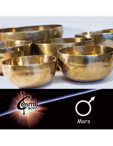 Planetary singing bowl Terre