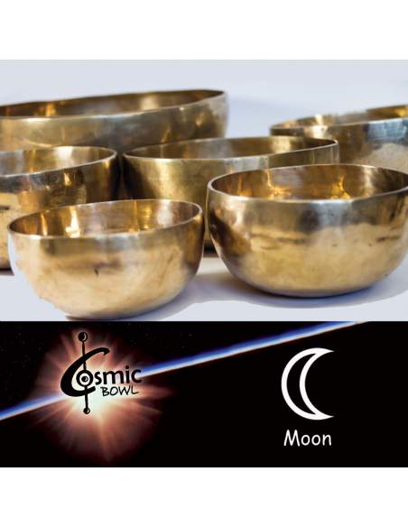 Planetary singing bowl Terre