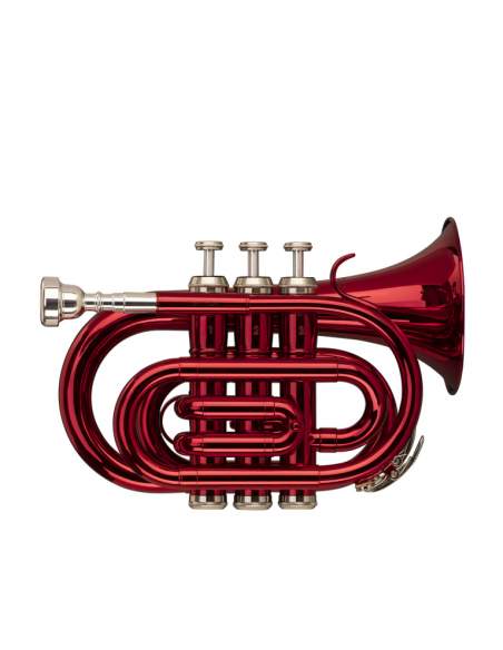 Bb pocket trumpet Stagg WS-TR247S