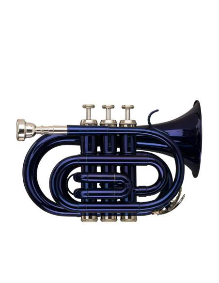 Bb pocket trumpet Stagg WS-TR246S