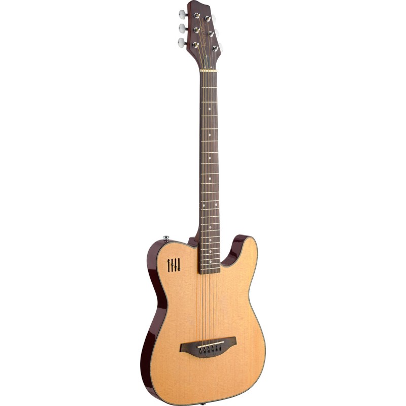 E/A gitara James EW3000CN