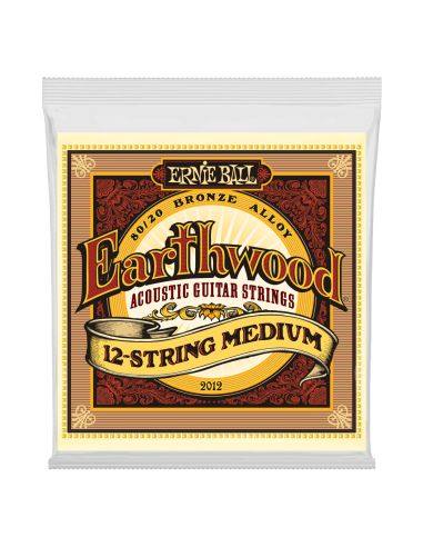 Ernie Ball 2012 Earthwood Bronze