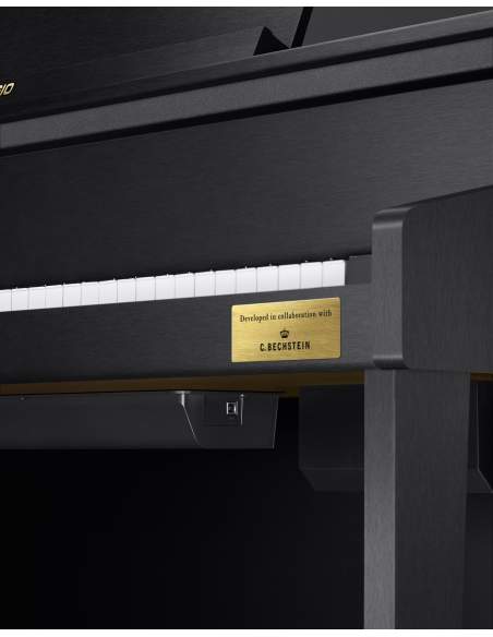 Skaitmeninis pianinas GP-310 Celviano Grand Hybrid Series Casio (Matinis juodas)