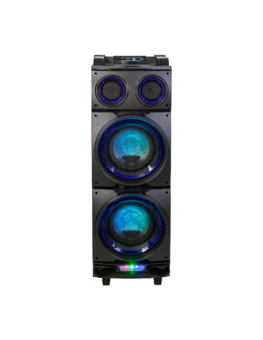 Active Speaker Ibiza StandUp208 300W