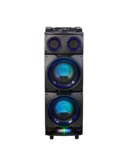 Active Speaker Ibiza StandUp208 300W