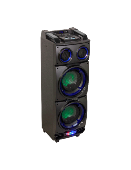Active Speaker Ibiza StandUp208 300W