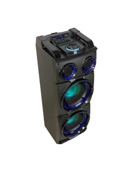 Active Speaker Ibiza StandUp208 300W