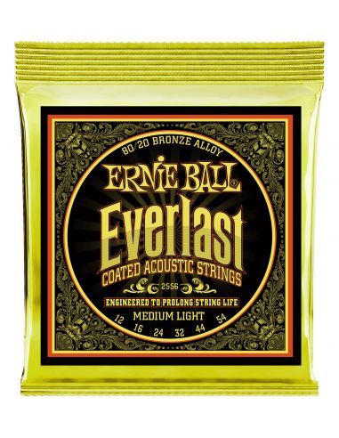 Stygos ak. gitarai Ernie Ball Everlast 0.012-0.054