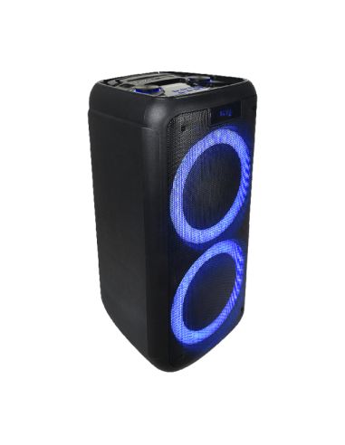Nešiojama garso sistema Ibiza Freesound400