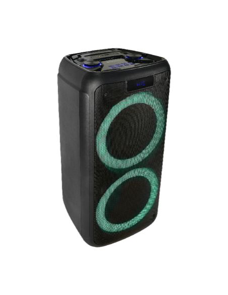 IBIZA SOUND RAINBOW 1000 Enceinte active