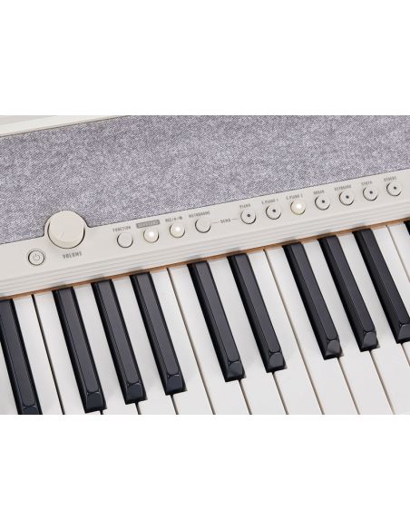 Casio CT-S1WE