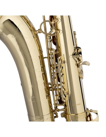 Bb Tenor Saxophone Stagg WS-TS215S