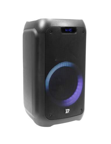 BoomTone DJ TRAVELER 300 BOOTRAVELER300