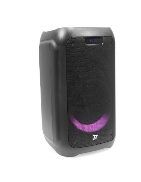 Portable battery speaker BoomTone DJ TRAVELER 300 BOOTRAVELER300