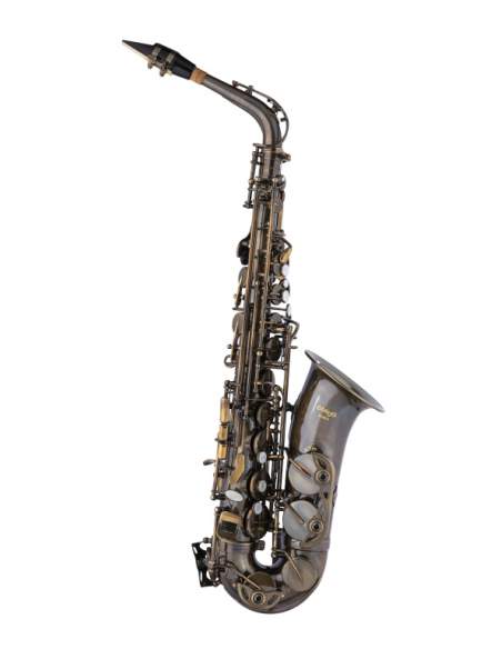 Eb Alto Saxophone, in soft case