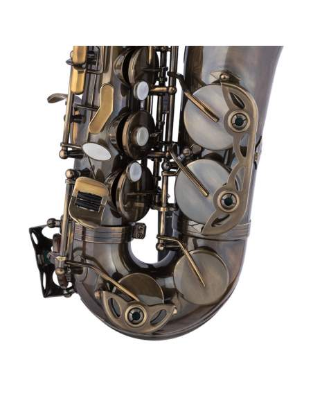 Eb Alto Saxophone, in soft case