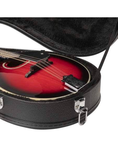 Basic series hardshell case for bluegrass mandolin