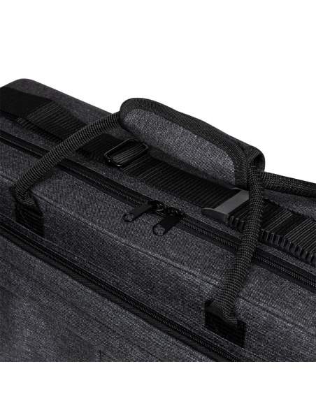 Soft case for alto saxophone, grey