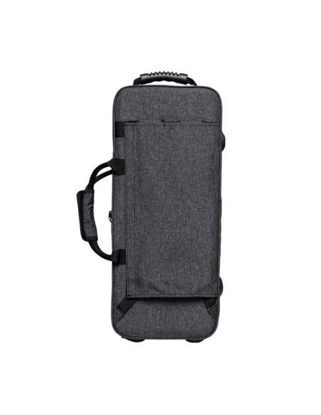 Soft case for alto saxophone, grey