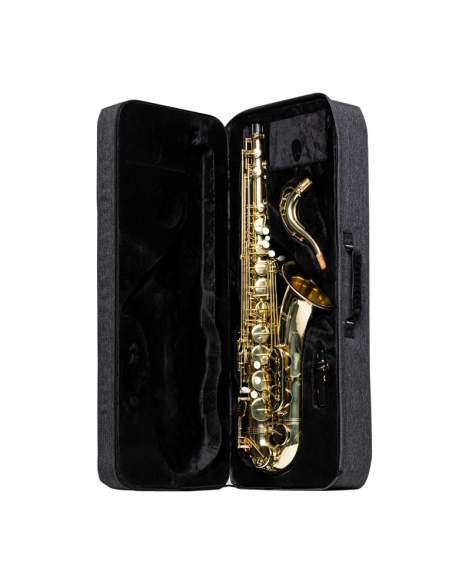 Soft cas fore tenor saxophone, grey