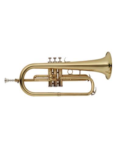 Bb flugelhorn with brass body, M-bore and soft case