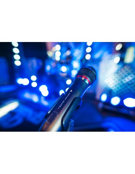 Hand Held Dynamic Microphone