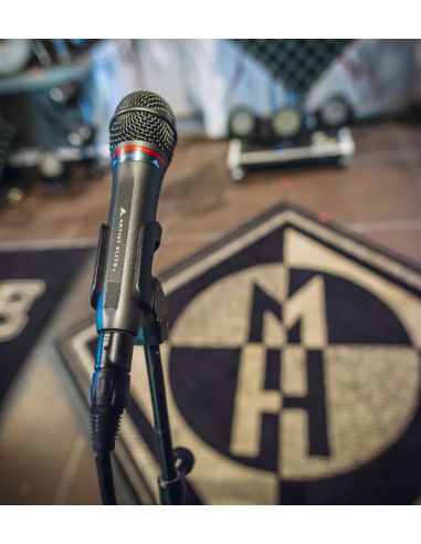 Hand Held Dynamic Microphone Audio-Technica Artist Elite AE6100