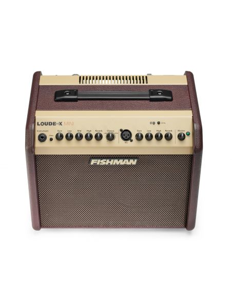 Acoustic Amplifier Fishman Loudbox Mini Bluetooth