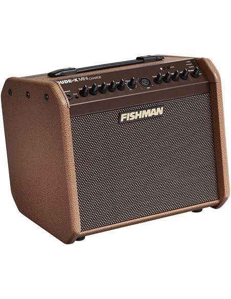 Akustinės gitaros stiprintuvas Fishman Loudbox Mini Charge