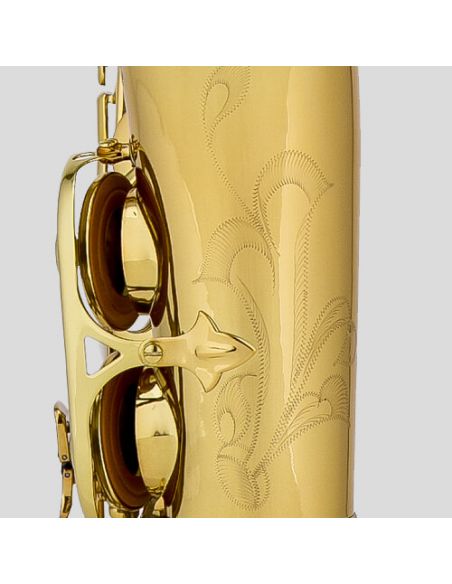 F alto saxophone Valencay CAS-22 Alto