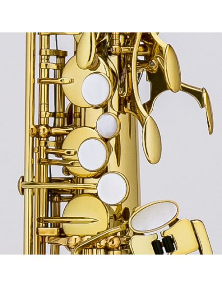 F alto saxophone Valencay CAS-22 Alto