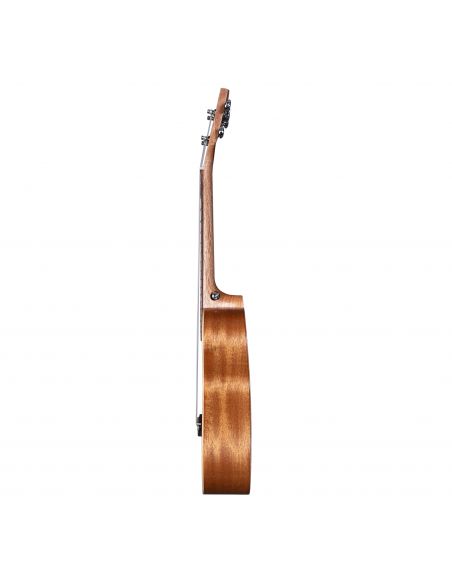 Tenor ukulele Cascha Art Urban HH 2608