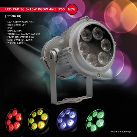 Prožektorius LED PAR 36 6x10W RGBW 4in1 IP65