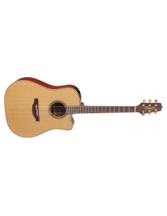 Elektroakustinė gitara...